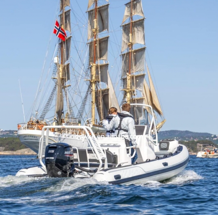 MSCE-gecertificeerd Sportstijl - Fishing Boat Fiberglass recensie en prijs
