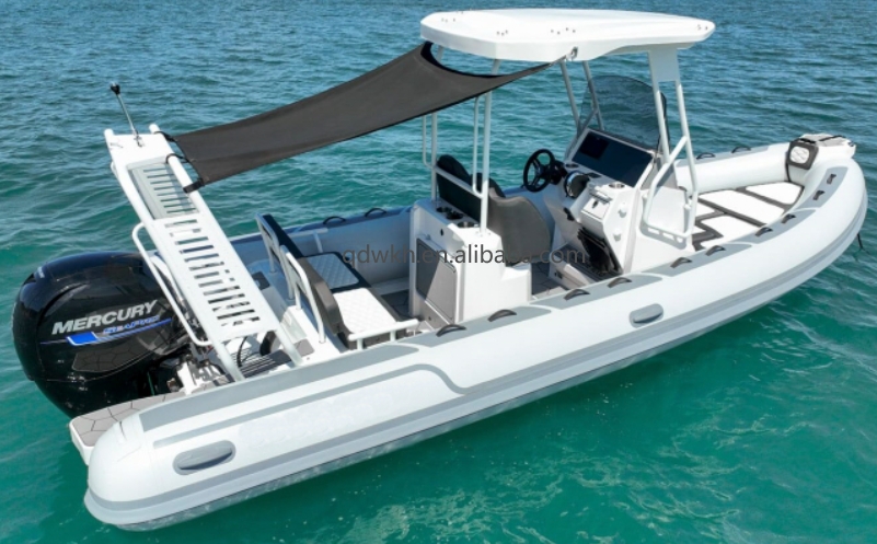 MSCE-gecertificeerd Sportstijl - Fishing Boat Fiberglass recensie en prijs